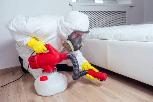 Best Insect Control  in Campbelltown, PA