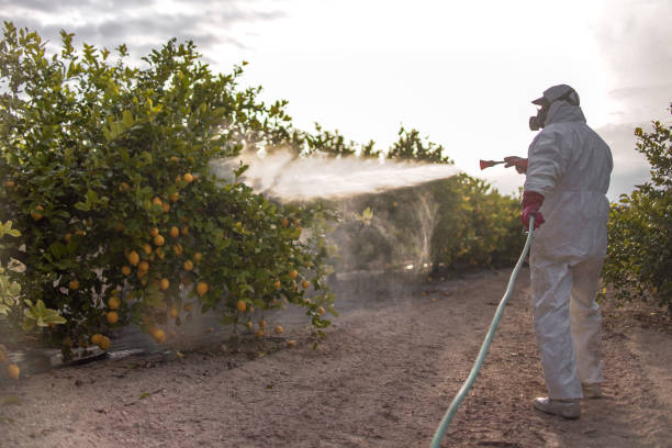 Best Affordable Pest Control Services  in Campbelltown, PA